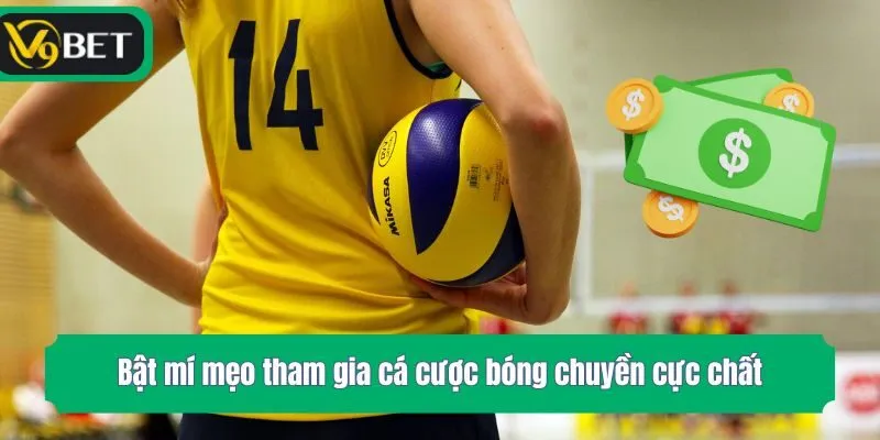 Bật mí mẹo tham gia cá cược bóng chuyền cực chất