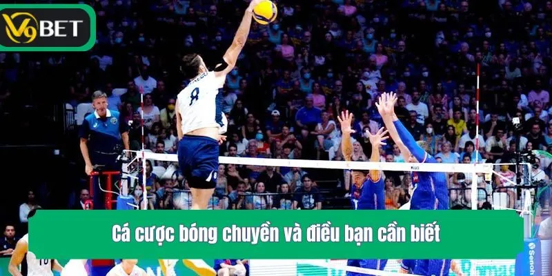 Cá cược bóng chuyền và điều bạn cần biết