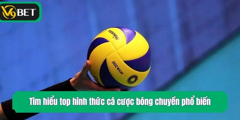 Tìm hiểu top hình thức cá cược bóng chuyền phổ biến