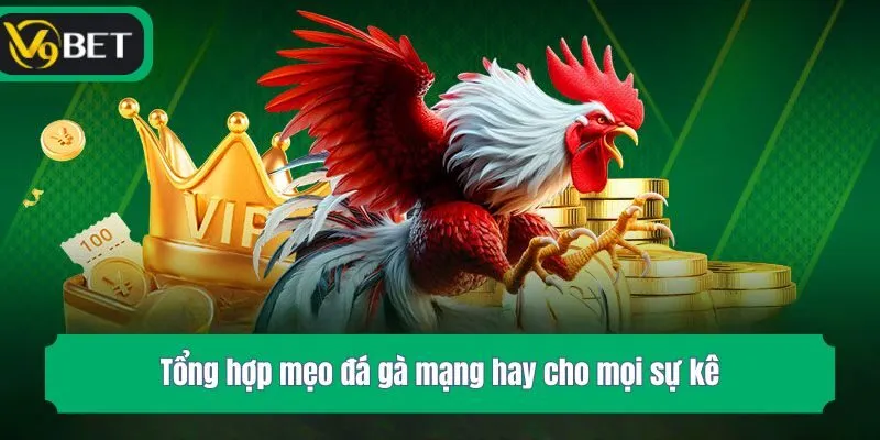 Tổng hợp mẹo đá gà mạng hay cho mọi sự kê