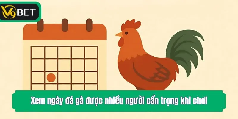 Xem ngày đá gà được nhiều người cẩn trọng khi chơi